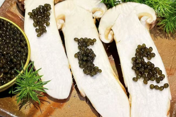 松茸的繁殖方式，松茸可以整個泡水喝嗎